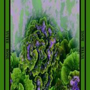 Yutee Rone Dark Green Scarf