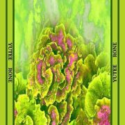 Yutee Rone Light Green Scarf